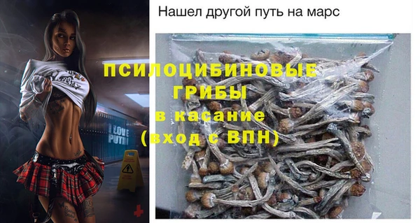 COCAINE Богородицк