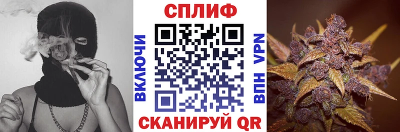Бошки Шишки MAZAR  Тверь 